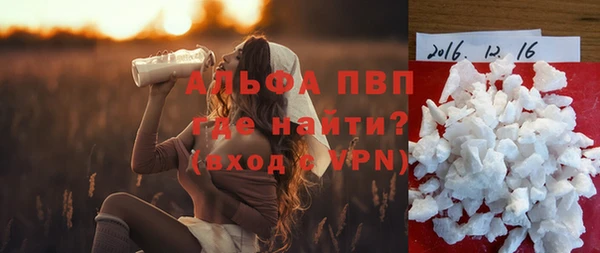 стаф Каменногорск