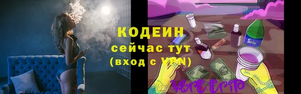 a pvp Каменка