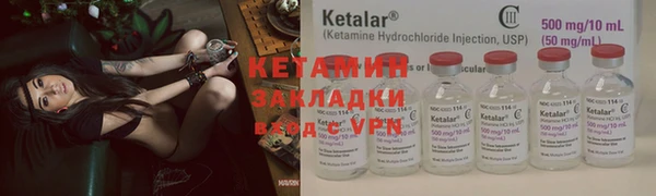 стаф Каменногорск