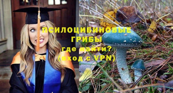 a pvp Каменка