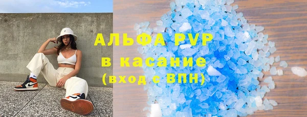 стаф Каменногорск