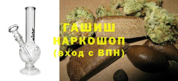 стаф Каменногорск