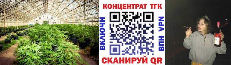 ТГК концентрат  Купить где  Гдов 