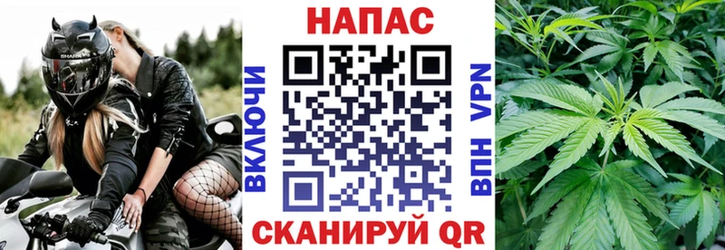 Купить  Гдов  Каннабис MAZAR 